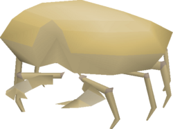 King Sand Crab